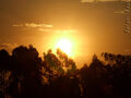 Thumbnail for version as of 17:12, March 23, 2010