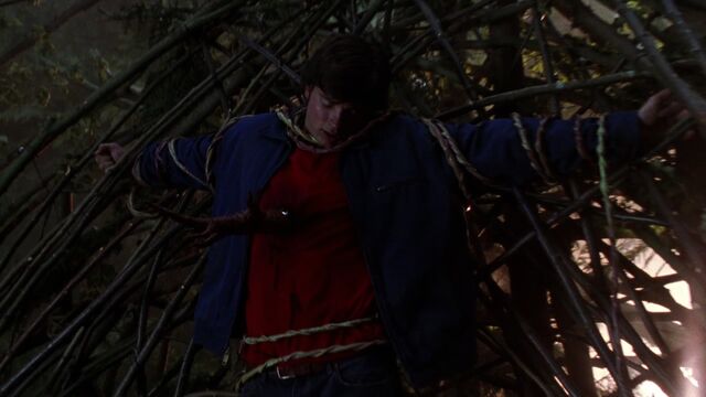 File:603Smallville0795.jpg