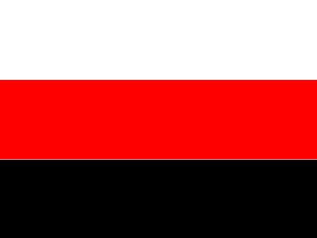 Файл:Флаг.png