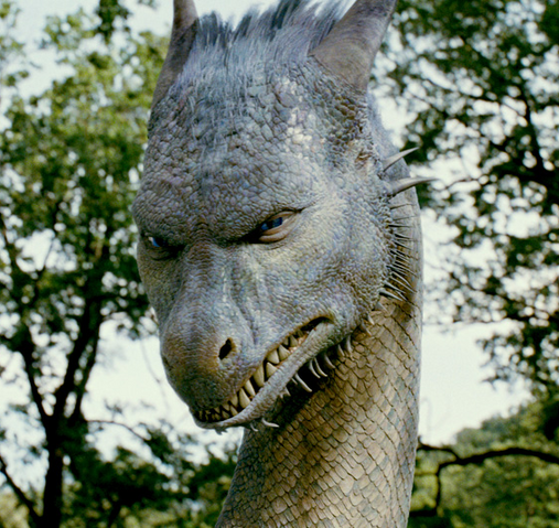 Plik:Saphira-saphira-28084711-564-533.png