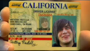 Anthony's Driver's License