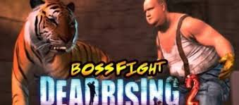 Bwas fights