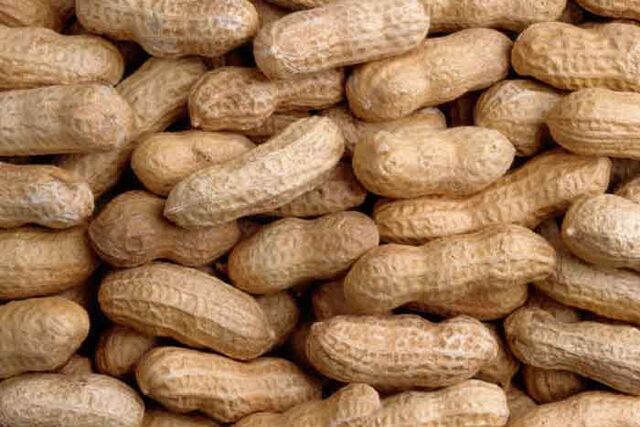 File:Peanut.jpg
