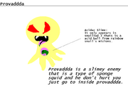 Provaddda (About)