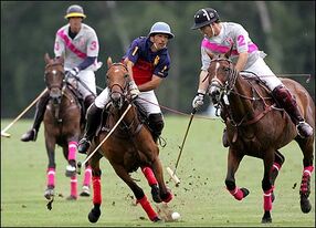 Polo1