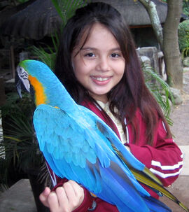 Zara's With A Parrot From Zoo