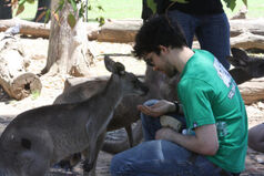 Kangaroooo