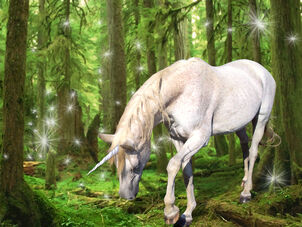 Unicorn