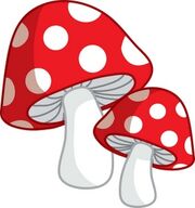 Spotted Mushrooms