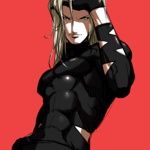 File:Falcoon-Benimaru.png