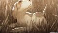 Thumbnail for version as of 03:35, October 9, 2016
