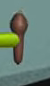 Spoon