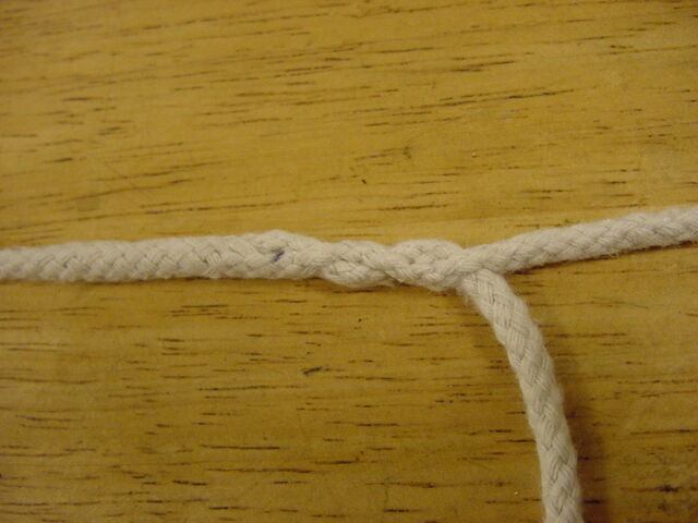 File:First completed splice.jpg