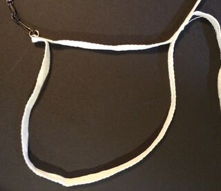 20140326 6956 oono-style-looplet