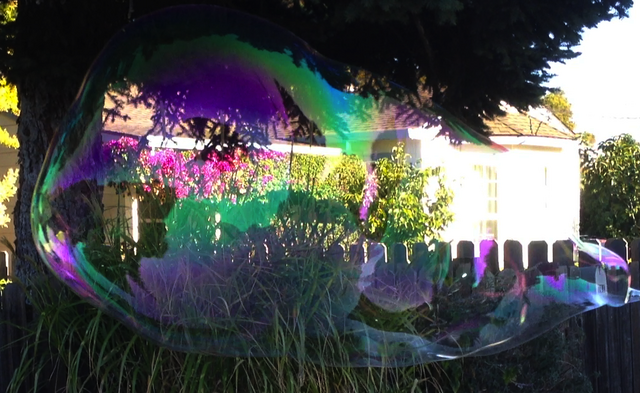 File:20130917 gelatin 1.png