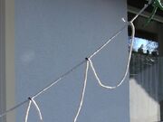 BILD1577-1