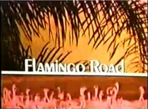 Flamingo road-show