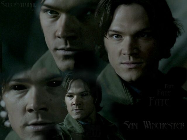 Arquivo:Sam-Winchester-s-Fate-supernatural-7827083-1152-864.jpg