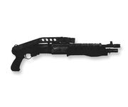 Spas12