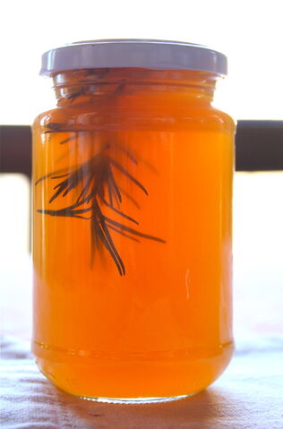 File:SOLAR ORANGE JELLY.jpg