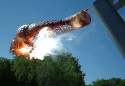 West's Solar Cooking demo1.2 Solar broiling chicken experiment 001