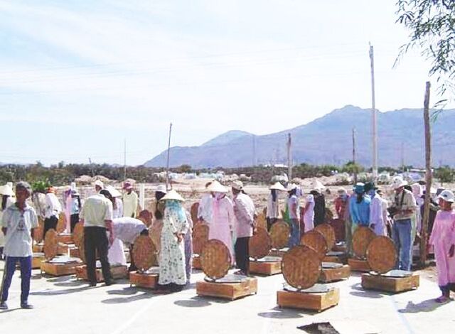 File:Phanrang2.jpg