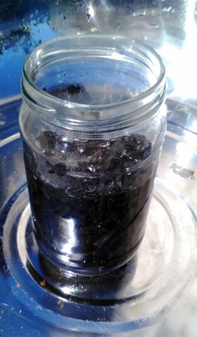 File:Cloche still 4.jpg