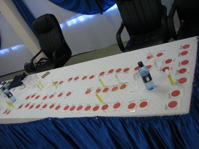 File:Tests Incubating on table.jpg
