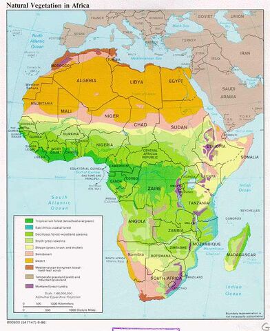 File:Natural vegitation in Africa.jpg