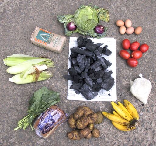 File:Food versus charcoal.jpg