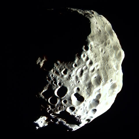File:Phoebe.jpg