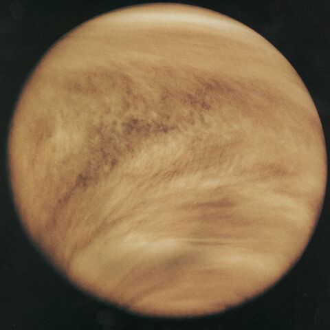 File:Venus.jpg
