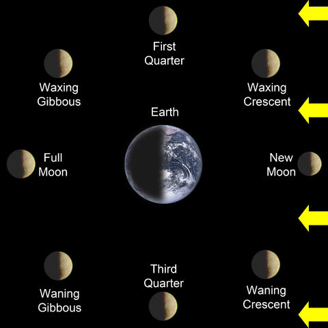 File:Phases of the Moon.jpg