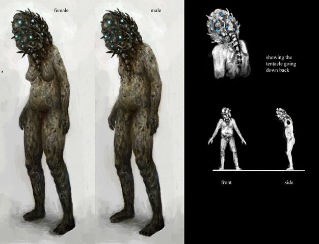 File:Flesher concept.jpg