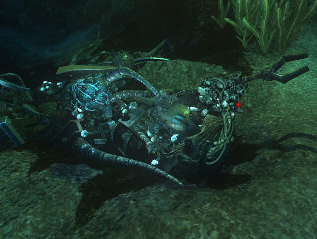 File:Bass from rar.jpg