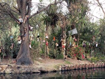 La-isla-de-las-munecas