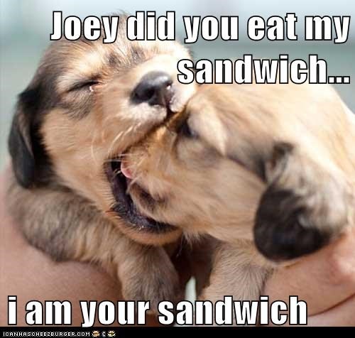 File:Sandwich.jpg