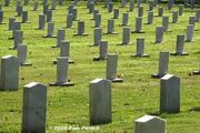 Graves