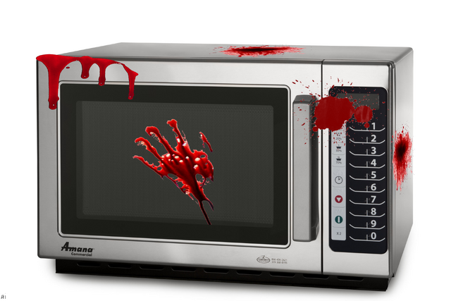 File:THEMICROWAVE.png