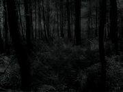 1000px-Jasons.jpg