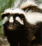 File:ThCACBTUOO.jpg