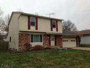 5645-dolphin-mentor-ohio-house-mentor-ohio-44060-650X430-139146014