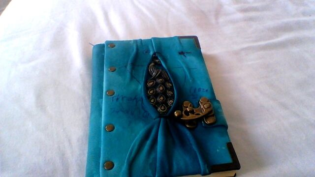 File:Timothy's Journal Front.jpeg