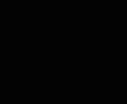 Openinggif4