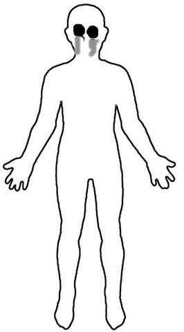 File:Human-body-outline (1).jpg
