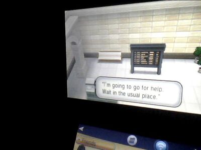 Photo 00003