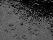 Here comes rain again