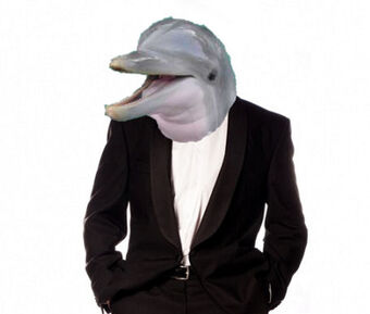 Dscare