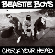 Beastie Boys - Check Your Head