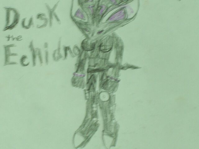 File:Dusk the echidna.jpg